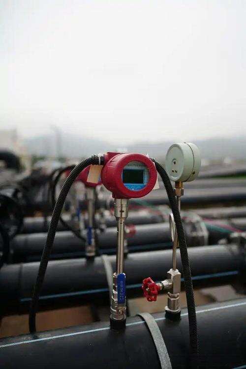 downloaded-image (2).jpg